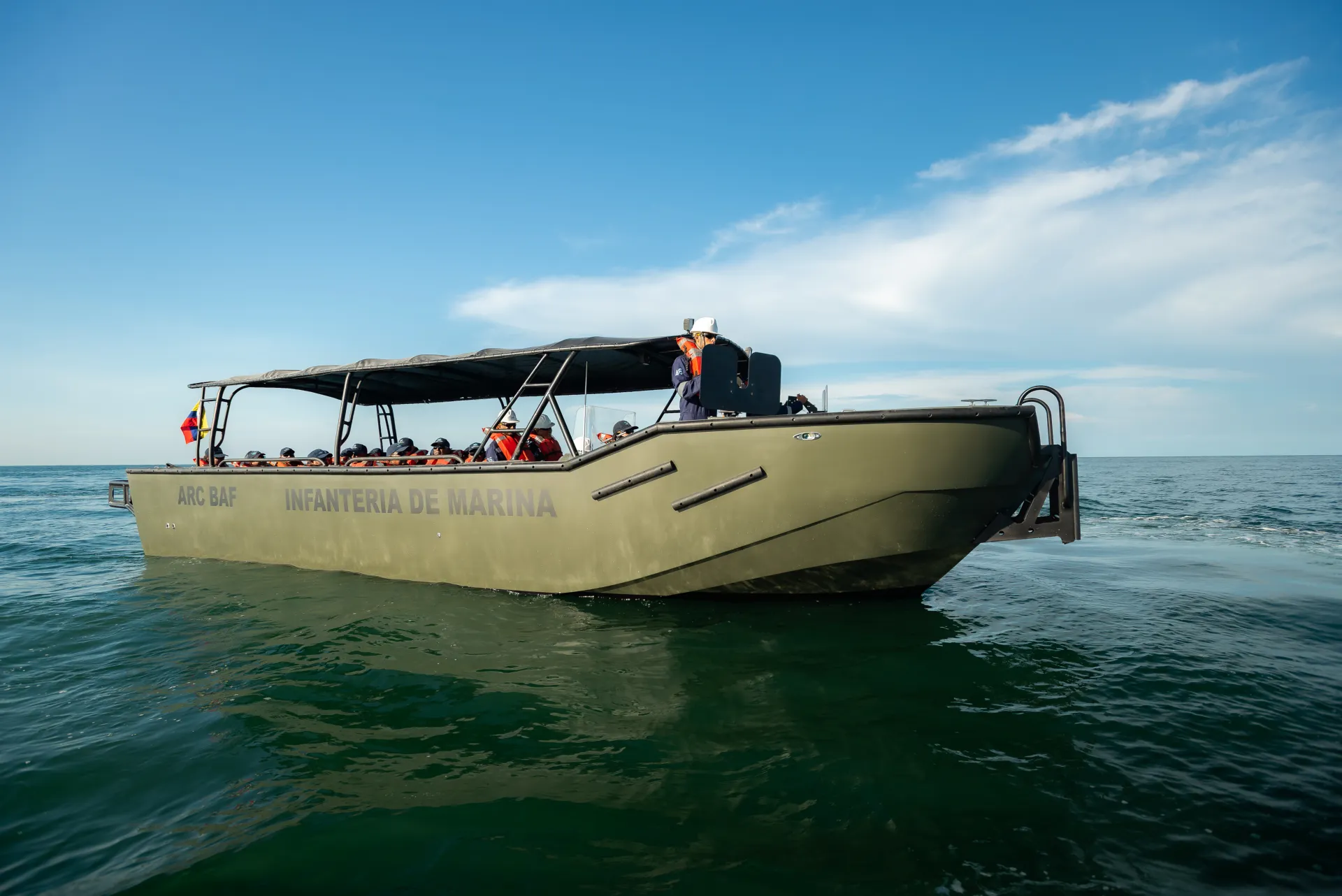 Alligator 37 - foto 1