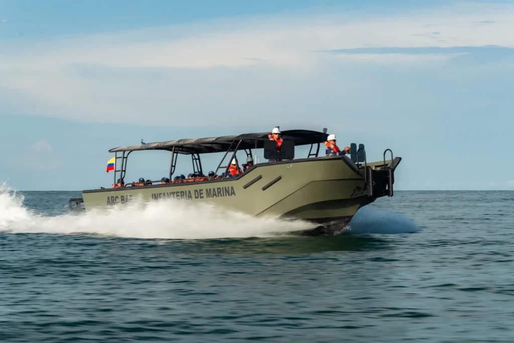 Alligator 37 - foto 2